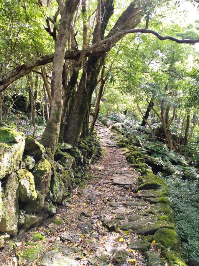Alojamento Local M&I Lajes das Flores Εξωτερικό φωτογραφία